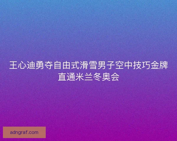 王心迪勇夺自由式滑雪男子空中技巧金牌直通米兰冬奥会